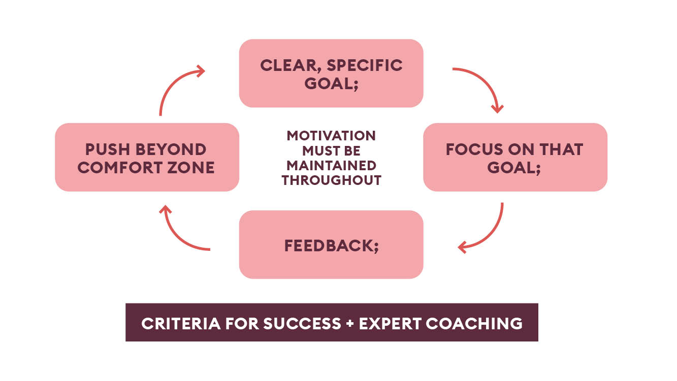 Criteria for success - expert coaching