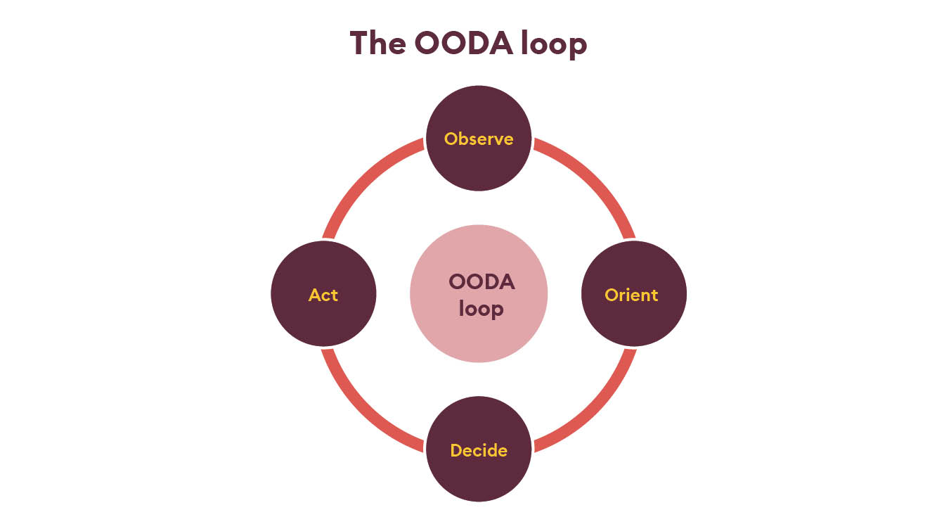 The OODA loop